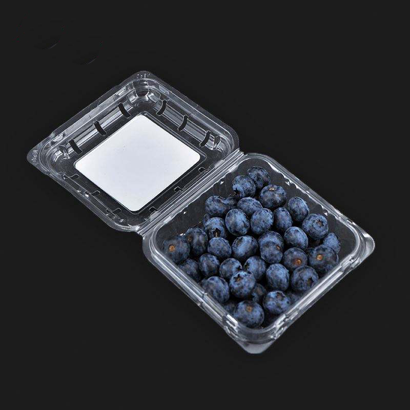 125g Velkoobchodní průhledná megová střela borůvka Blueberry Clamshell Balení ovocných kontejneru ovoce