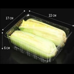 Žádný kryt hluboký podnos 220*170*60 mm HGF-2217