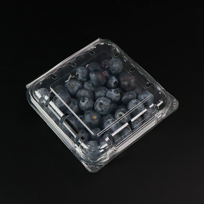Ovocná krabice Blueberry Box s víkem 103*108*42 mm HGF-125B