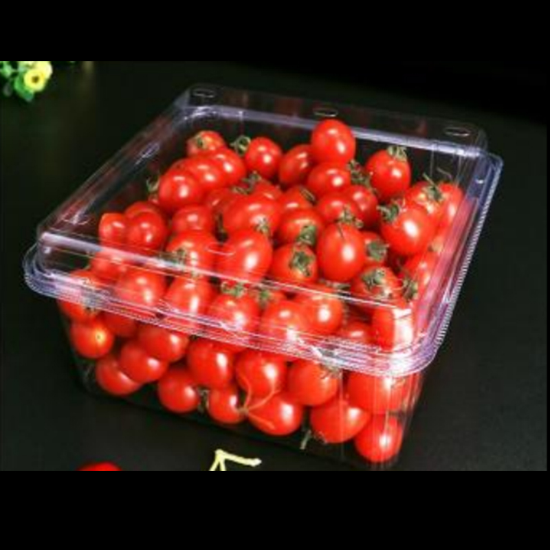 Ovocná krabička s víkem 175*175*90 mm HGF-1000G