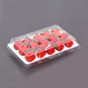 Strawberry Box (15 jahod) 225*120*40 mm cm-15