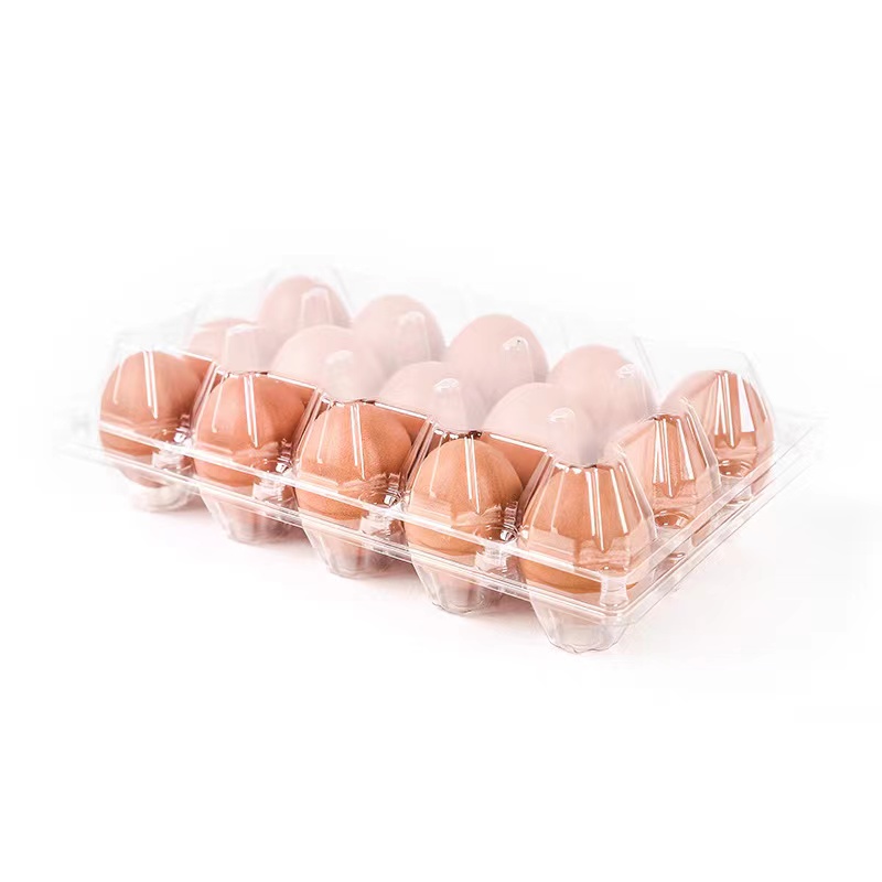Egg zásobník 245*150*67 mm 15 drážky 42 g
